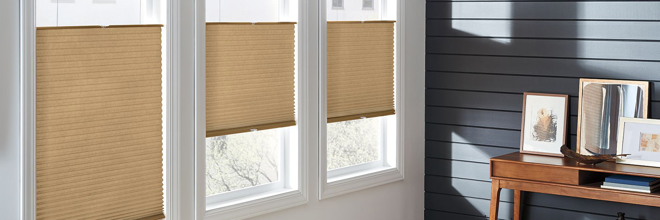 Tan cellular shades on living room windows